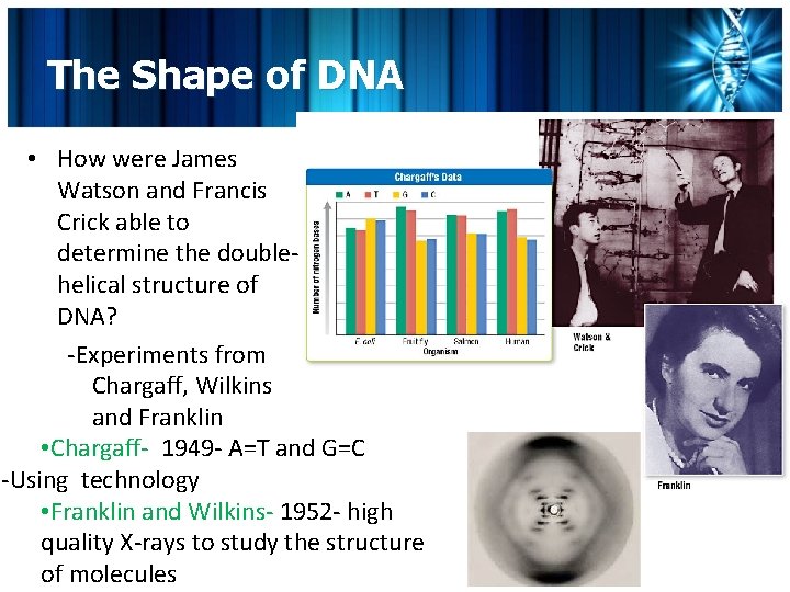 The Shape of DNA • How were James Watson and Francis Crick able to