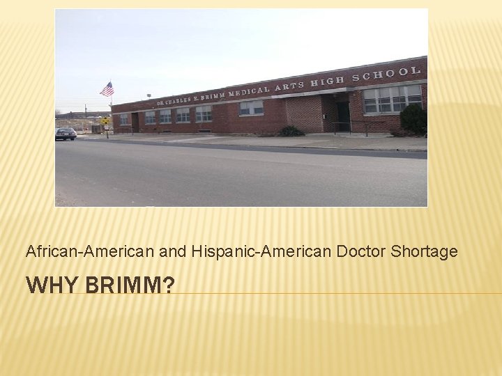 African-American and Hispanic-American Doctor Shortage WHY BRIMM? 