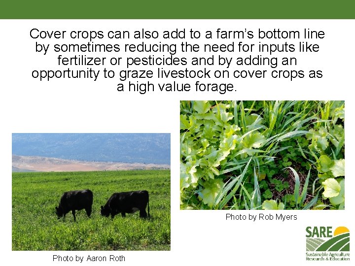 Cover crops can also add to a farm’s bottom line by sometimes reducing the