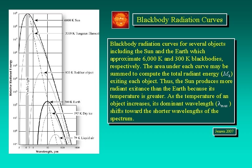 Blackbody Radiation Curves Blackbody radiation curves for several objects including the Sun and the