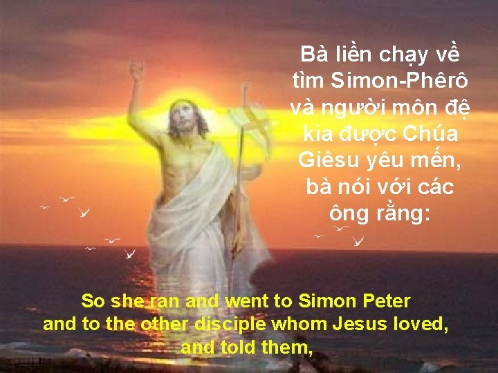 Bà liền chạy về tìm Simon-Phêrô và người môn đệ kia được Chúa Giêsu