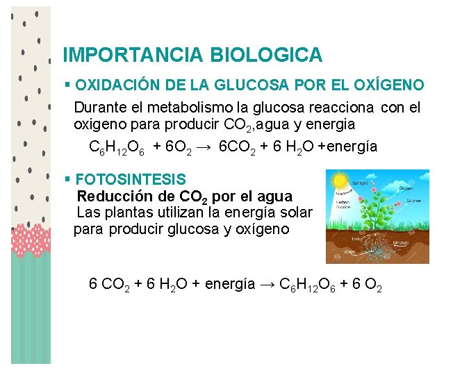 IMPORTANCIA BIOLOGICA § OXIDACIÓN DE LA GLUCOSA POR EL OXÍGENO Durante el metabolismo la