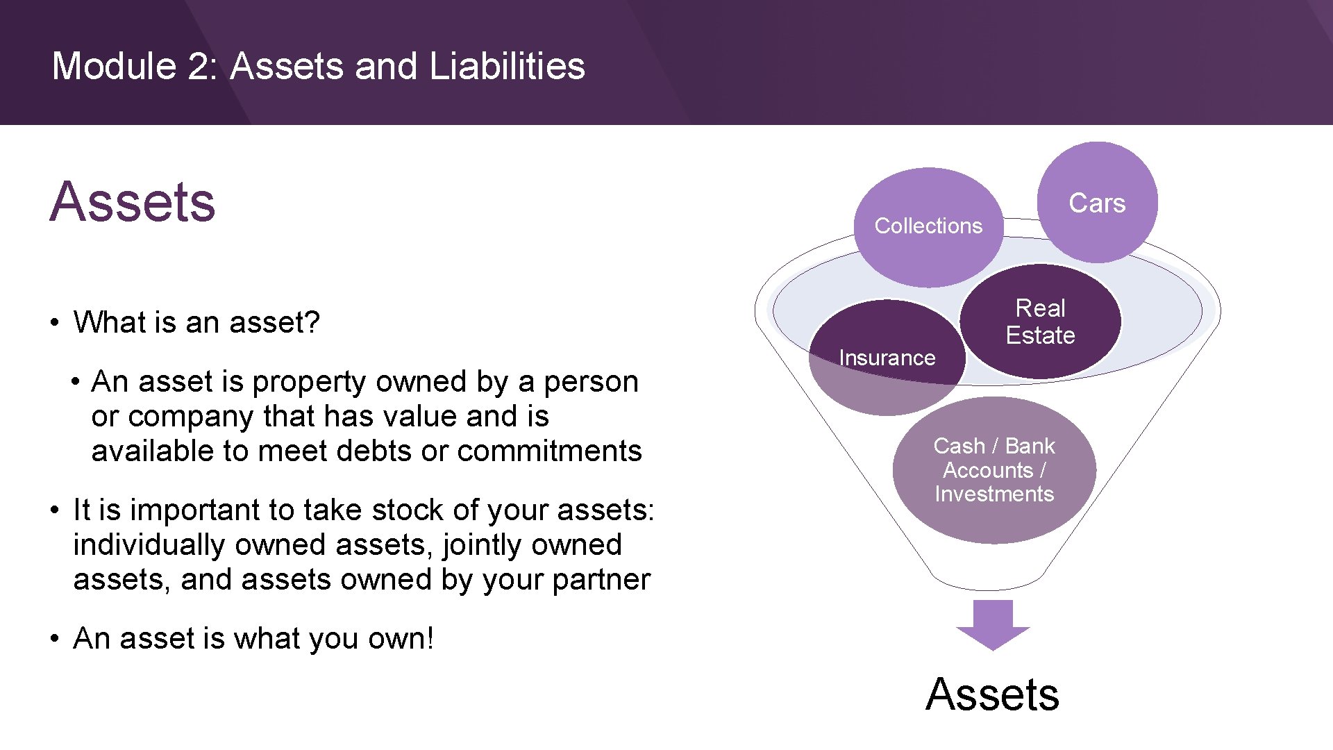 Module 2: Assets and Liabilities Assets Collections • What is an asset? • An