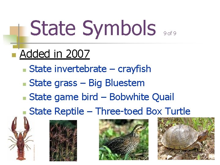 State Symbols n 9 of 9 Added in 2007 State n invertebrate – crayfish