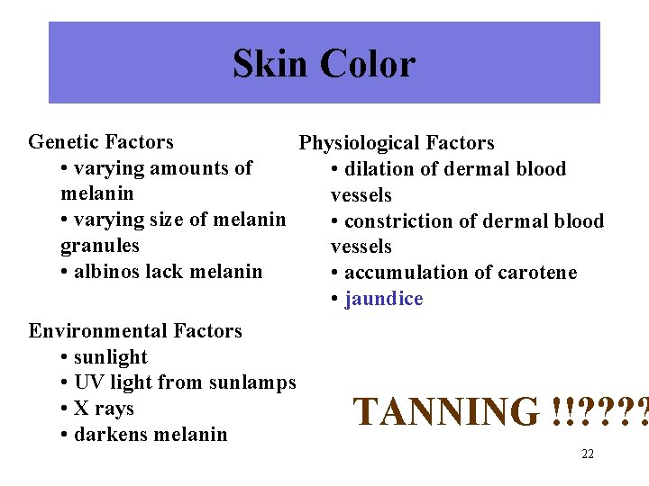 Skin Color Genetic Factors Physiological Factors • varying amounts of • dilation of dermal