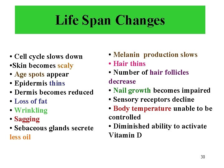 Life Span Changes • Cell cycle slows down • Skin becomes scaly • Age