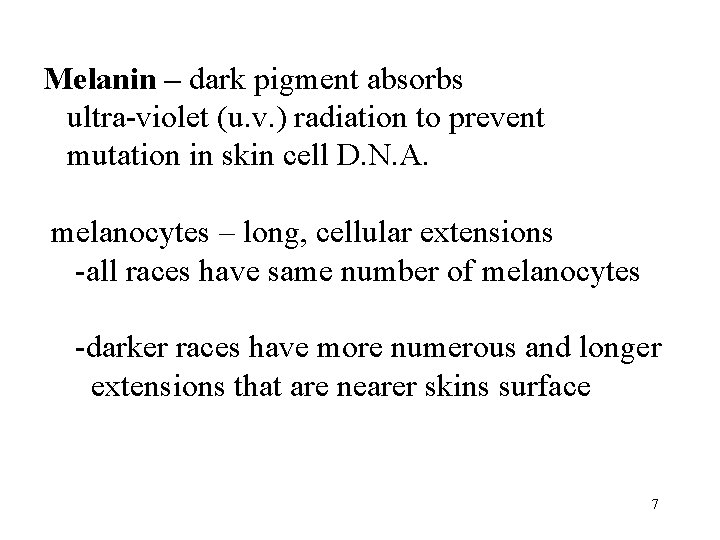 Melanin – dark pigment absorbs ultra-violet (u. v. ) radiation to prevent mutation in