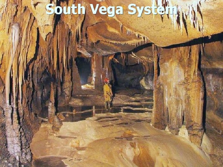 South Vega System 11/02/2022 8 
