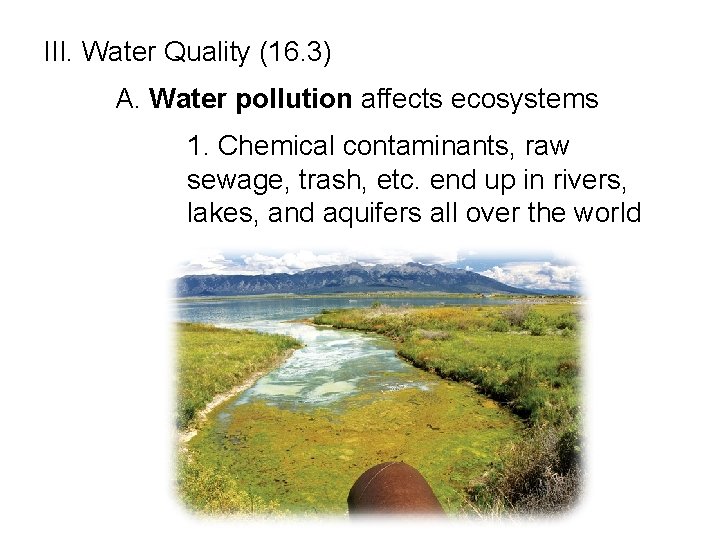 III. Water Quality (16. 3) A. Water pollution affects ecosystems 1. Chemical contaminants, raw