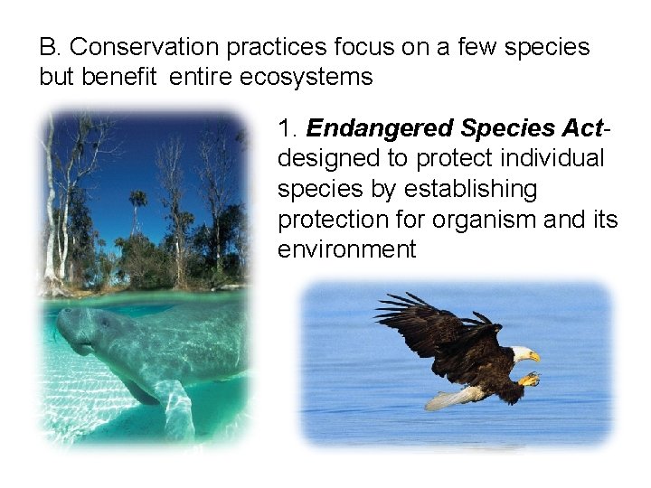 B. Conservation practices focus on a few species but benefit entire ecosystems 1. Endangered