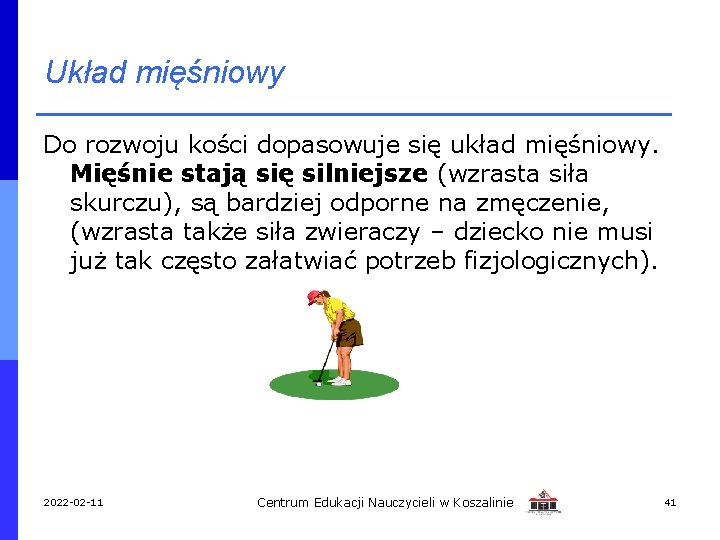 Układ mięśniowy Do rozwoju kości dopasowuje się układ mięśniowy. Mięśnie stają się silniejsze (wzrasta