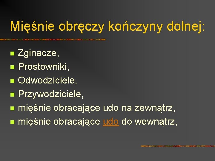 Mięśnie obręczy kończyny dolnej: n n n Zginacze, Prostowniki, Odwodziciele, Przywodziciele, mięśnie obracające udo