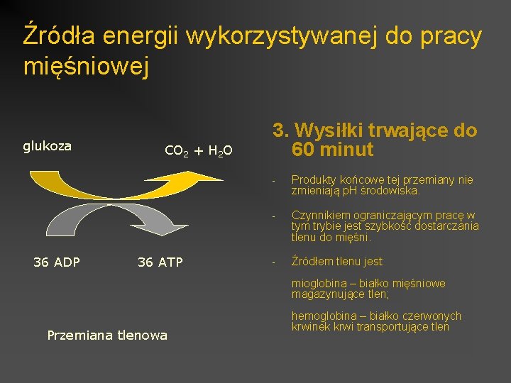 Źródła energii wykorzystywanej do pracy mięśniowej glukoza 36 ADP CO 2 + H 2