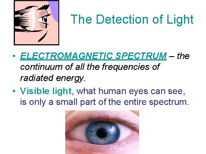 The Detection of Light • ELECTROMAGNETIC SPECTRUM – the continuum of all the frequencies