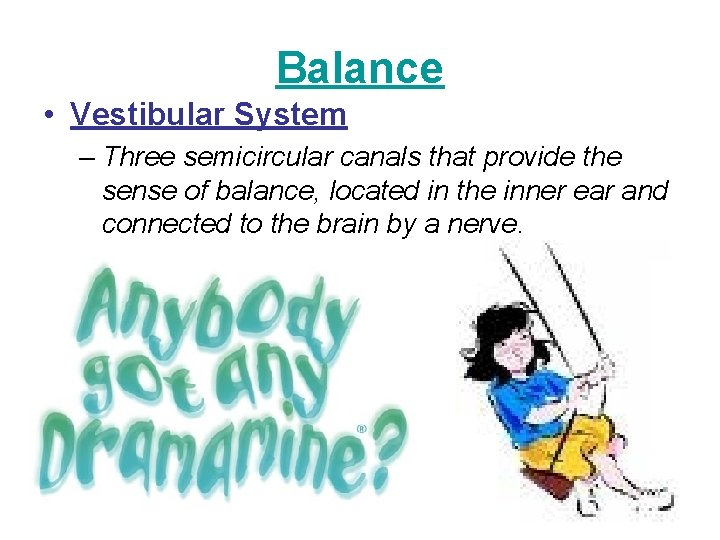 Balance • Vestibular System – Three semicircular canals that provide the sense of balance,