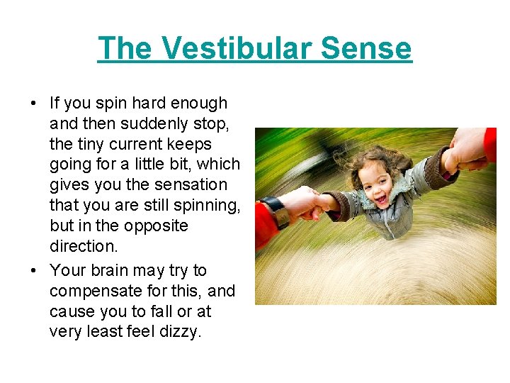 The Vestibular Sense • If you spin hard enough and then suddenly stop, the