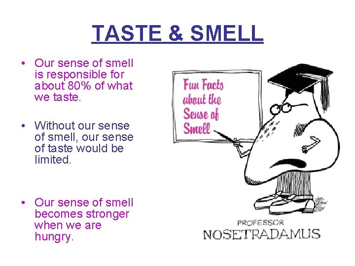 TASTE & SMELL • Our sense of smell is responsible for about 80% of