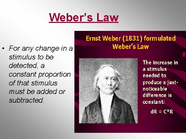 Weber’s Law • For any change in a stimulus to be detected, a constant