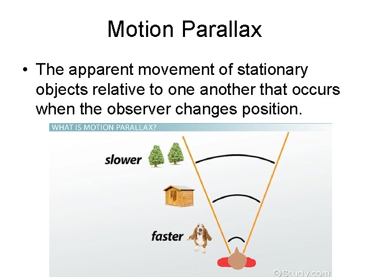 Motion Parallax • The apparent movement of stationary objects relative to one another that