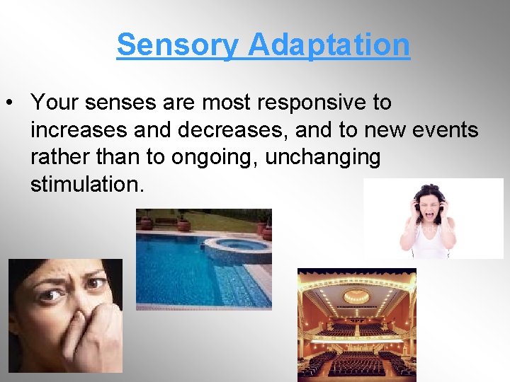 Sensory Adaptation • Your senses are most responsive to increases and decreases, and to