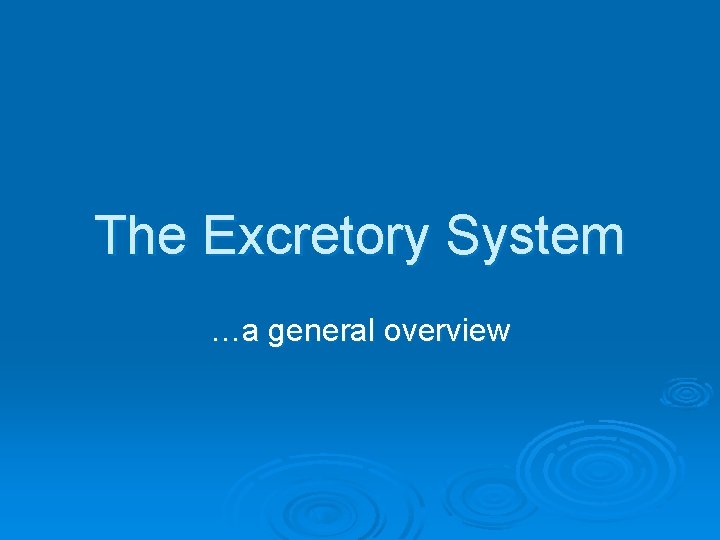 The Excretory System …a general overview 