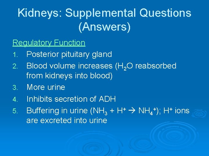 Kidneys: Supplemental Questions (Answers) Regulatory Function 1. Posterior pituitary gland 2. Blood volume increases