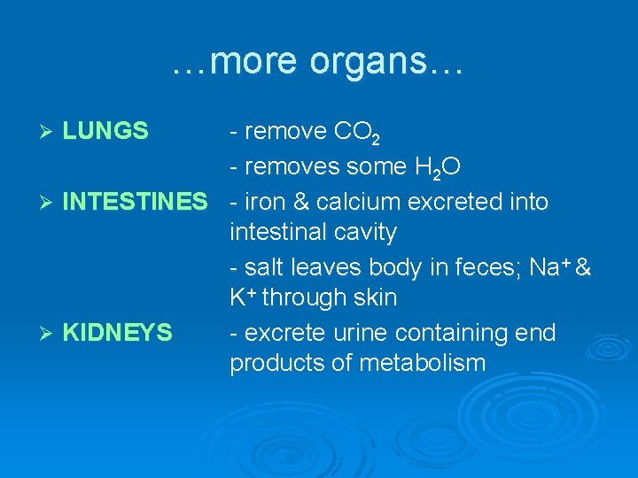 …more organs… - remove CO 2 - removes some H 2 O Ø INTESTINES