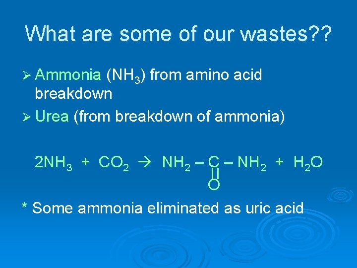 What are some of our wastes? ? Ø Ammonia (NH 3) from amino acid