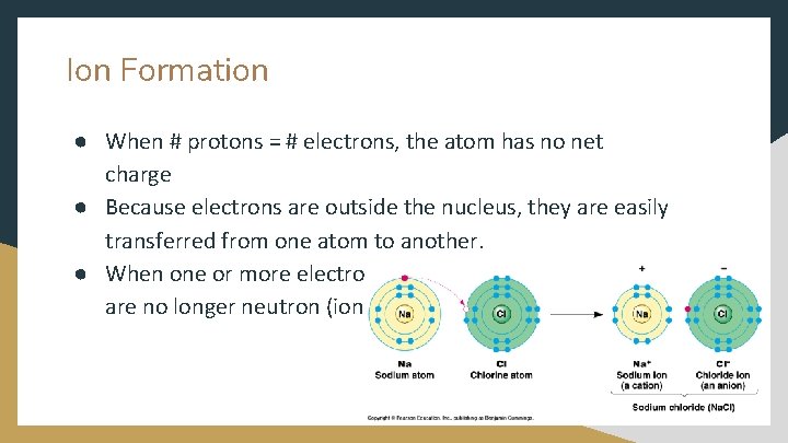 Ion Formation ● When # protons = # electrons, the atom has no net