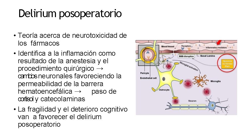 Delirium posoperatorio • Teoría acerca de neurotoxicidad de los fármacos • Identifica a la