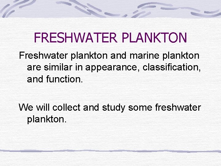 FRESHWATER PLANKTON Freshwater plankton and marine plankton are similar in appearance, classification, and function.
