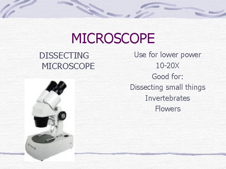 MICROSCOPE DISSECTING MICROSCOPE Use for lower power 10 -20 X Good for: Dissecting small