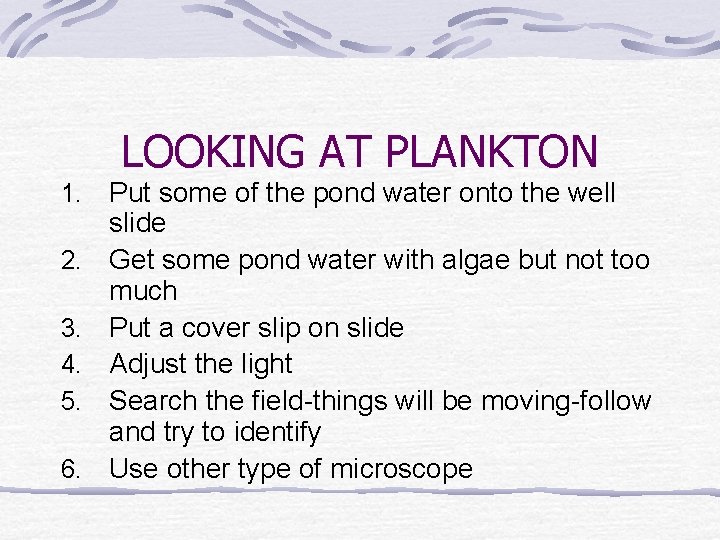 LOOKING AT PLANKTON 1. 2. 3. 4. 5. 6. Put some of the pond