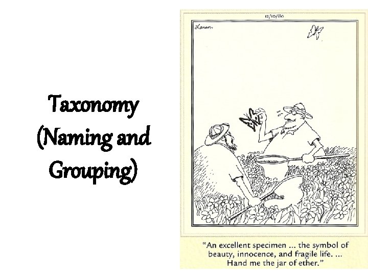 Taxonomy (Naming and Grouping) 