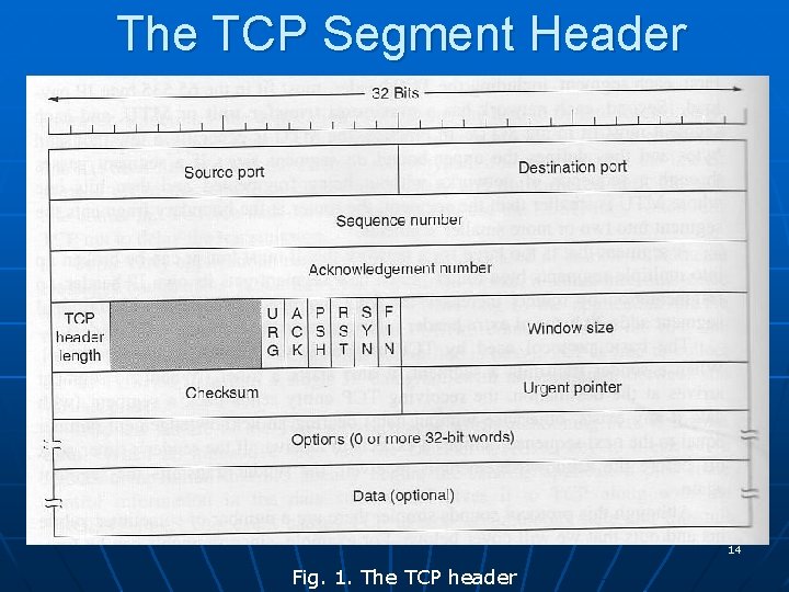 The TCP Segment Header 14 Fig. 1. The TCP header 