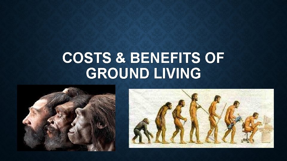 COSTS & BENEFITS OF GROUND LIVING 