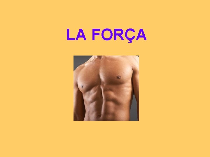 LA FORÇA 