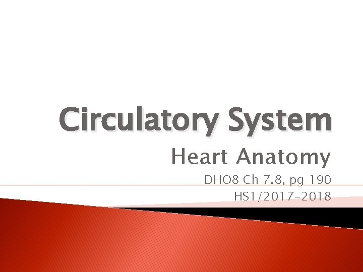 Circulatory System Heart Anatomy DHO 8 Ch 7. 8, pg 190 HS 1/2017 -2018
