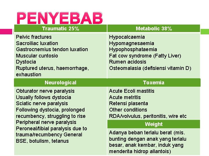 PENYEBAB Traumatic 25% Pelvic fractures Sacroiliac luxation Gastrocnemius tendon luxation Muscular cuntosio Dystocia Ruptured