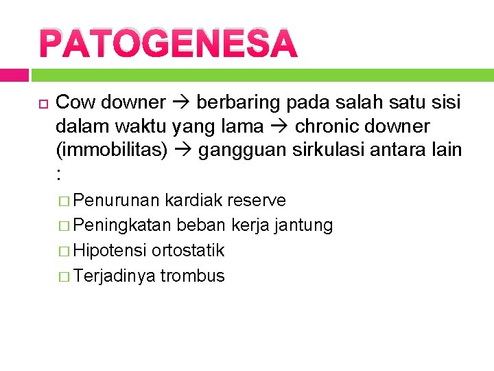 PATOGENESA Cow downer berbaring pada salah satu sisi dalam waktu yang lama chronic downer