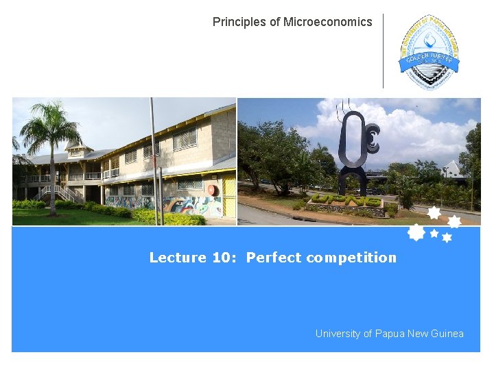 Principles of Microeconomics Lecture 10: Perfect competition University of Papua New Guinea 