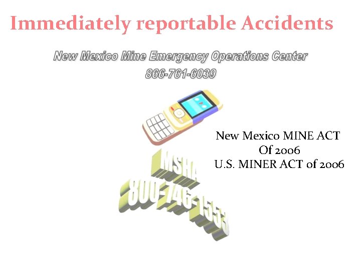 Immediately reportable Accidents New Mexico MINE ACT Of 2006 U. S. MINER ACT of