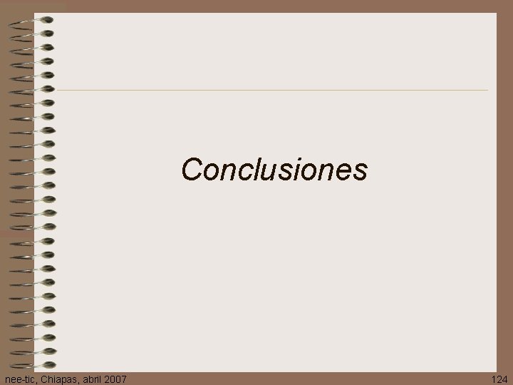 Conclusiones nee-tic, Chiapas, abril 2007 124 