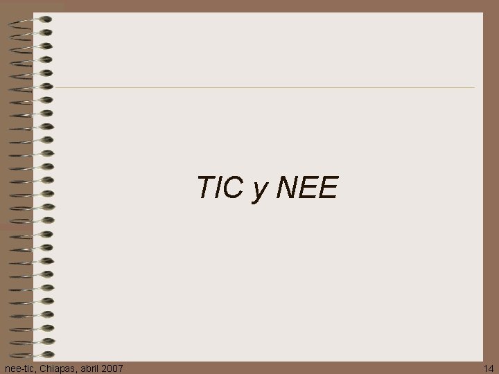 TIC y NEE nee-tic, Chiapas, abril 2007 14 