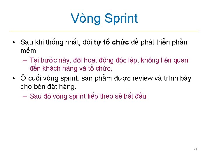 Vòng Sprint • Sau khi thống nhất, đội tự tổ chức để phát triển