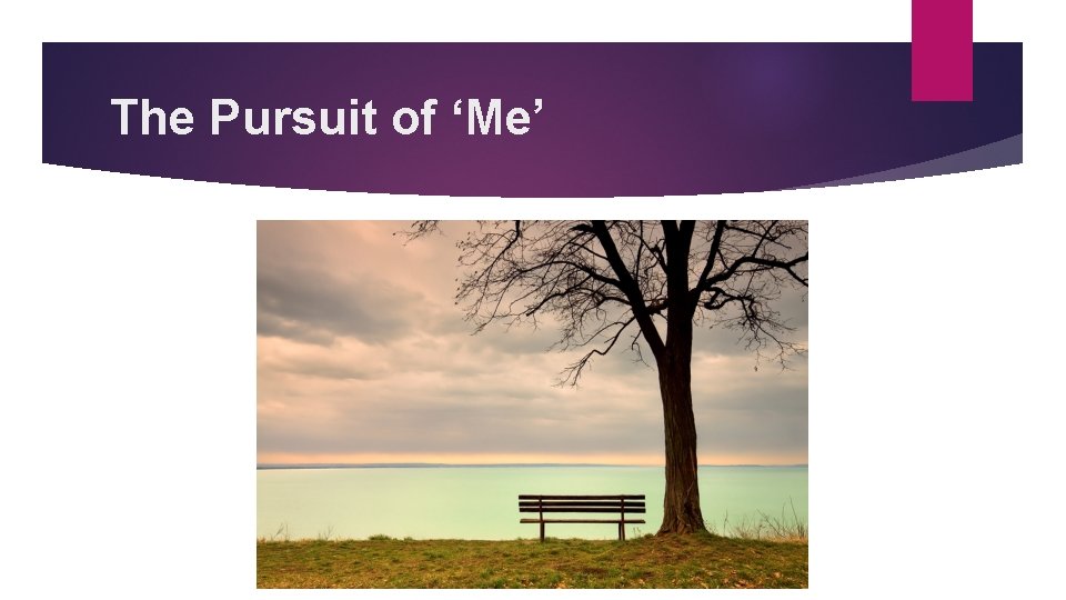 The Pursuit of ‘Me’ 