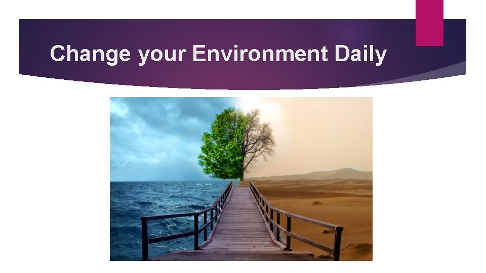 Change your Environment Daily 