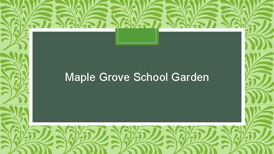 Maple Grove School Garden 