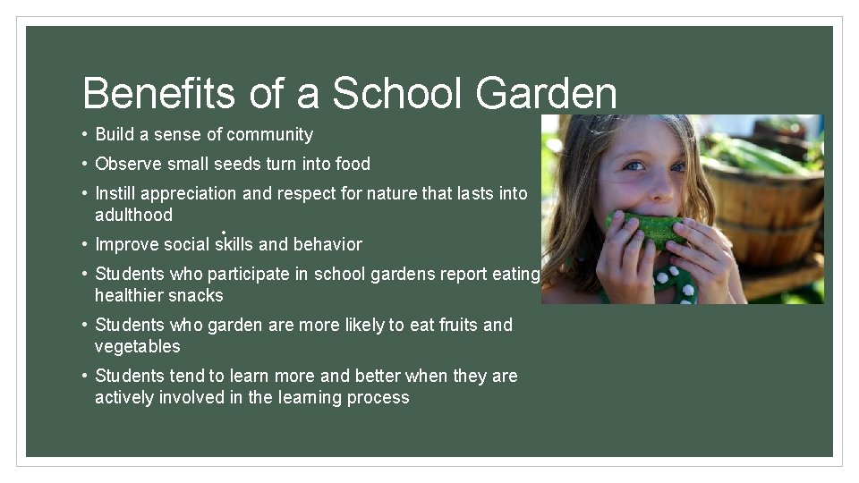 Benefits of a School Garden • Build a sense of community • Observe small