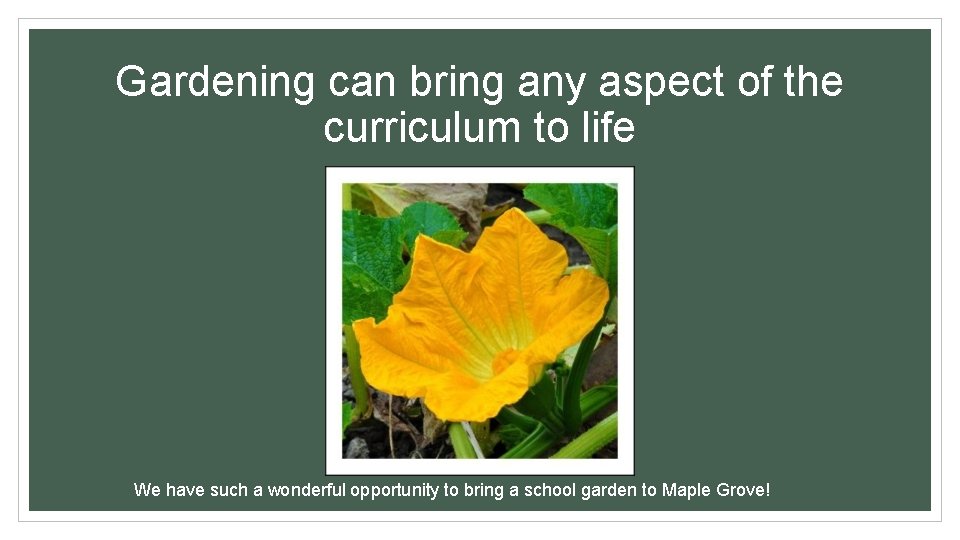 Gardening can bring any aspect of the curriculum to life We have such a